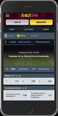 Discover allyspin login